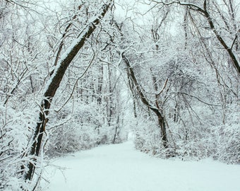 Winter in Pennsylvania - Fine Art Landscape nature print photograph wall decor -