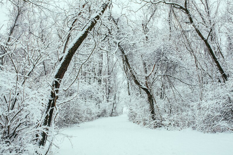 Hiver en Pennsylvanie Fine Art Landscape nature print photo mur décor image 1