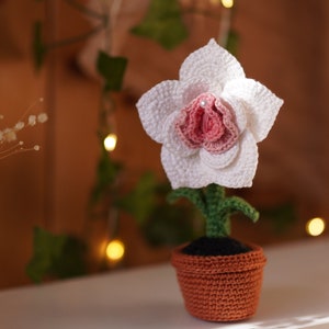 Crochet PATTERN Flower of Life, Crochet labia rose in a pot, Amigurumi vulva plant PDF tutorial for adults