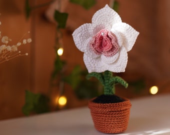 MOTIF Fleur de vie au crochet, Rose des lèvres au crochet dans un pot, Tutoriel PDF de plante Amigurumi vulva pour adultes