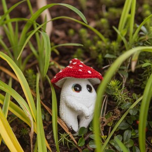以下が含まれることがあります： 白と赤のドット柄の帽子をかぶった、手作りのキノコのぬいぐるみ。 大きな目をしており、緑の葉と茶色のマルチの中にあります。 背景には2つ目のキノコが見えます。