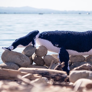 K&ouml;nnte beinhalten: Zwei geh&auml;kelte Wal-Pl&uuml;schtiere, eines gro&szlig; und eines klein, in Marineblau und Wei&szlig;. Die Wale sind auf einem Steinhaufen in der N&auml;he des Wassers positioniert, wobei der gr&ouml;&szlig;ere Wal den Betrachter ansieht. Der kleinere Wal befindet sich daneben.