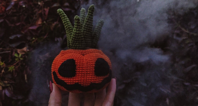 Halloween Crochet Pattern Succulent, 2 in 1 Jack O Lantern PDF pattern image 6