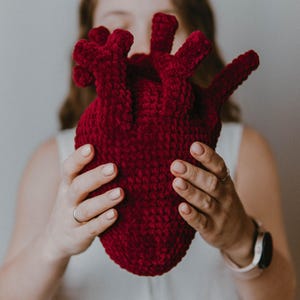 May include: A person holding a large, red crocheted heart in front of their face.