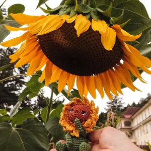 K&ouml;nnte beinhalten: Ein geh&auml;keltes Sonnenblumenspielzeug mit gr&uuml;nem Stiel und braunem Gesicht, das in einer Hand vor dem Hintergrund einer gro&szlig;en Sonnenblume sitzt.