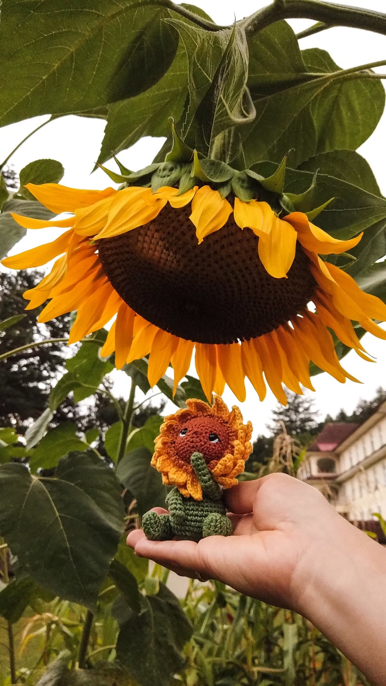 K&ouml;nnte beinhalten: Ein geh&auml;keltes Sonnenblumenspielzeug mit gr&uuml;nem Stiel und braunem Gesicht, das in einer Hand vor dem Hintergrund einer gro&szlig;en Sonnenblume sitzt.