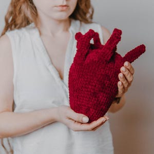 May include: A person holding a large, red crocheted heart. The heart is made of soft, fuzzy yarn and has a realistic shape.