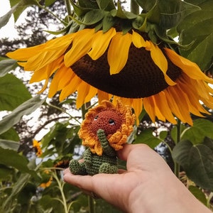 K&ouml;nnte beinhalten: Ein geh&auml;keltes Sonnenblumenspielzeug mit gr&uuml;nem K&ouml;rper und gelben Bl&uuml;tenbl&auml;ttern, in einer Hand gehalten vor dem Hintergrund eines Sonnenblumenfeldes.