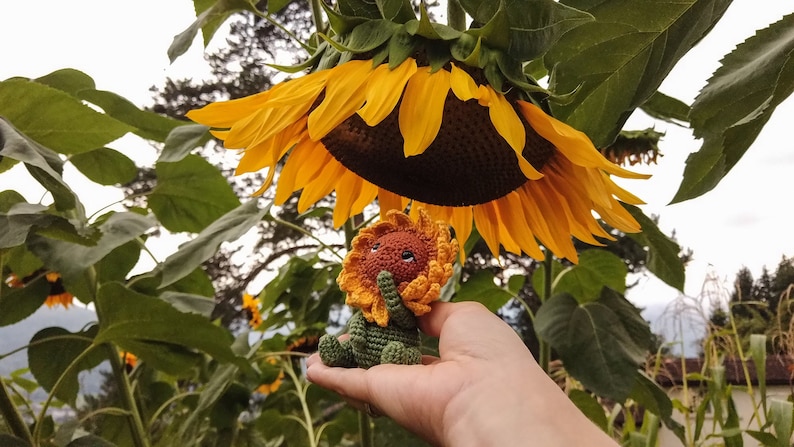 K&ouml;nnte beinhalten: Ein geh&auml;keltes Sonnenblumenspielzeug mit gr&uuml;nem K&ouml;rper und gelben Bl&uuml;tenbl&auml;ttern, in einer Hand gehalten vor dem Hintergrund eines Sonnenblumenfeldes.
