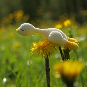 May include: A handmade white and yellow crocheted duck rests on a vibrant yellow dandelion flower. The duck has a long neck and closed eyes, set against a backdrop of green grass and other dandelions. The scene evokes a sense of nature and whimsy.