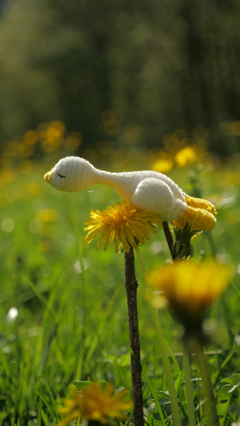 May include: A handmade white and yellow crocheted duck rests on a vibrant yellow dandelion flower. The duck has a long neck and closed eyes, set against a backdrop of green grass and other dandelions. The scene evokes a sense of nature and whimsy.