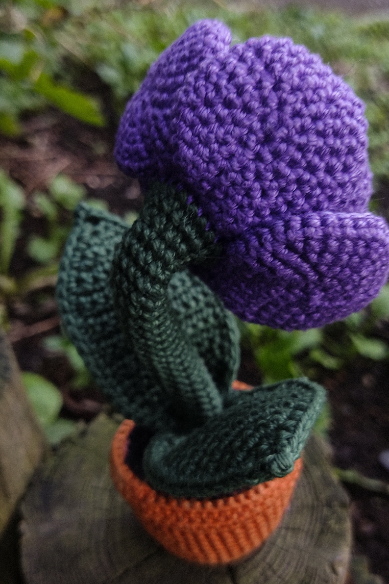 Puede incluir: Una flor de color morado tejida a crochet con hojas verdes y una maceta naranja. La flor est&aacute; hecha de hilo y es una artesan&iacute;a hecha a mano.