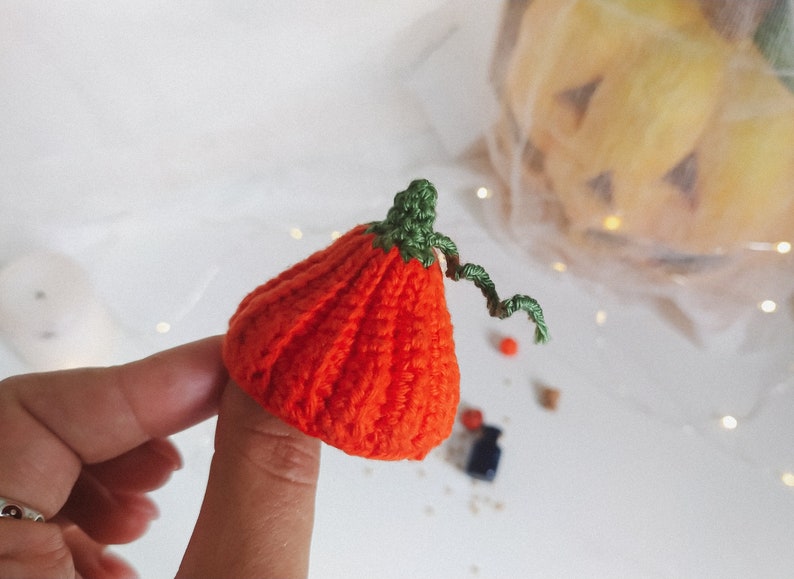 May include: A small, crocheted pumpkin with a green stem and vine. The pumpkin is orange and has a textured surface.