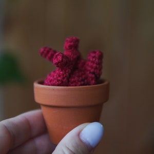 May include: A small terracotta pot with a crocheted heart-shaped plant in a deep red color.
