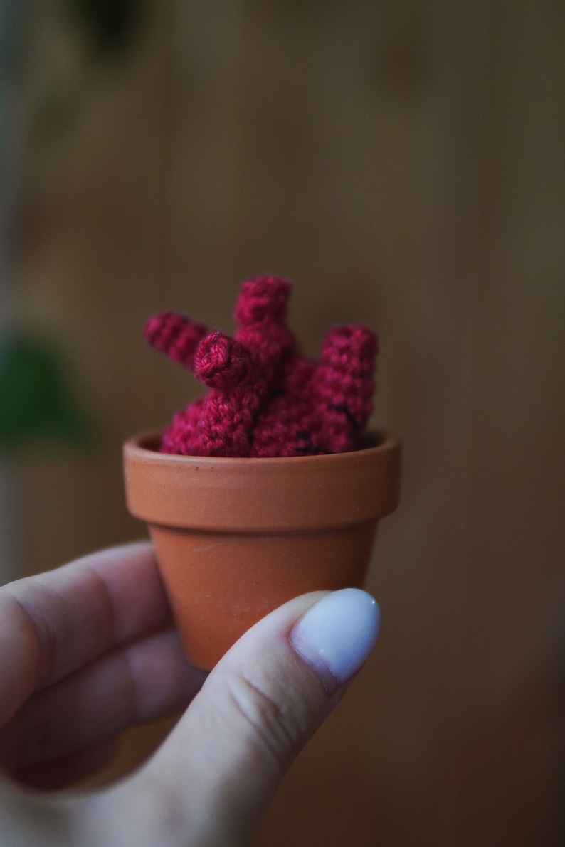 May include: A small terracotta pot with a crocheted heart-shaped plant in a deep red color.