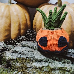 Halloween Crochet Pattern Succulent, 2 in 1 Jack O Lantern PDF pattern image 10