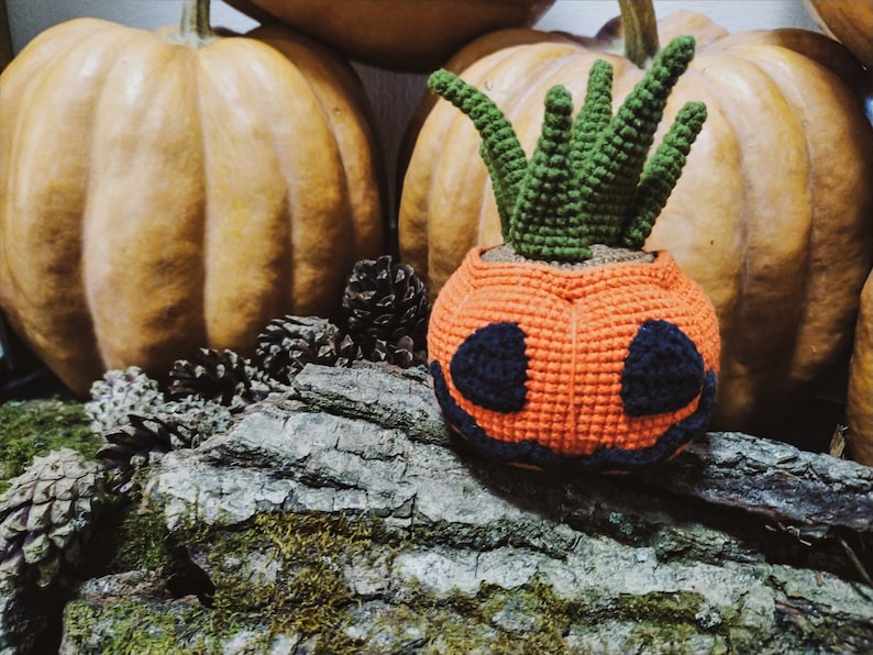 Halloween Crochet Pattern Succulent, 2 in 1 Jack O Lantern PDF pattern image 10