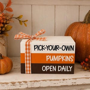 Fall Mini Book Stack/Pumpkins/Farmhouse/Tiered Tray Decor/Coffee Bar/ A BayCountry Original Design