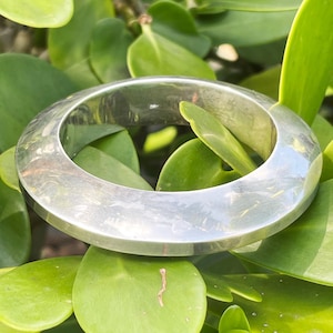 May include: A silver-toned bangle bracelet with a rounded, flat design. The bracelet is resting on a bed of green leaves, creating a contrast between the shiny metal and the natural background. The bracelet appears to be made of metal.