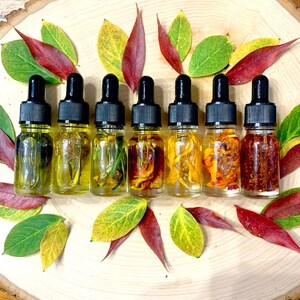 Conjunto de cristales de 7 chakras para la sanación y el equilibrio. imagen 4