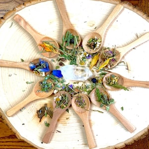 10 Piece Incense Sampler Set