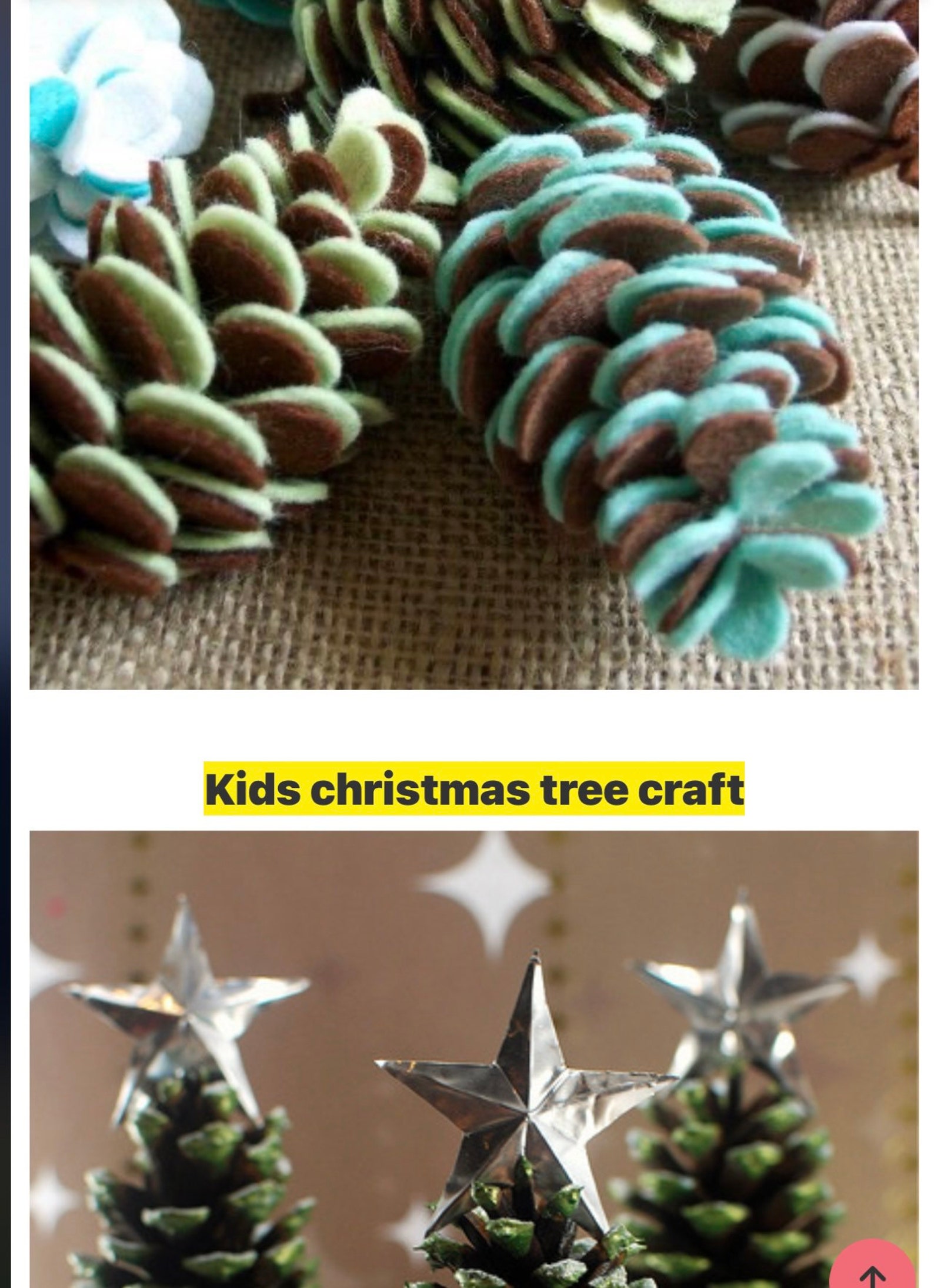 Jumbo Pine Cones Pine Cones for Projects Bulk Pine Cones Etsy