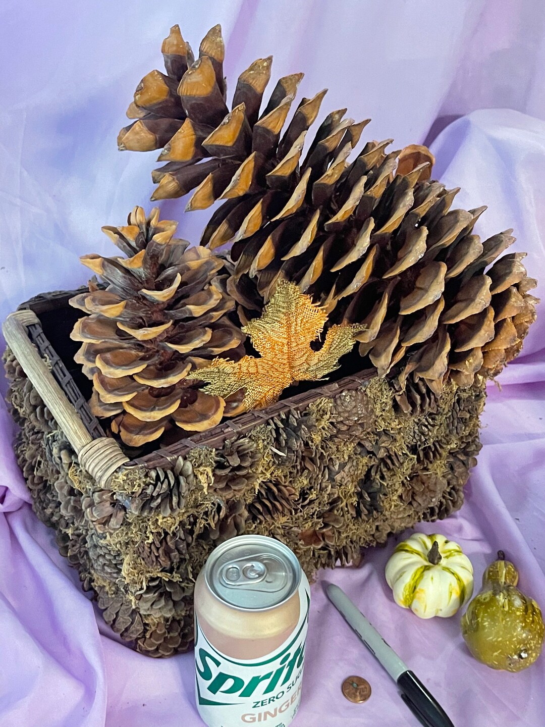 Jumbo Pine Cones Pine Cones for Projects Bulk Pine Cones Etsy