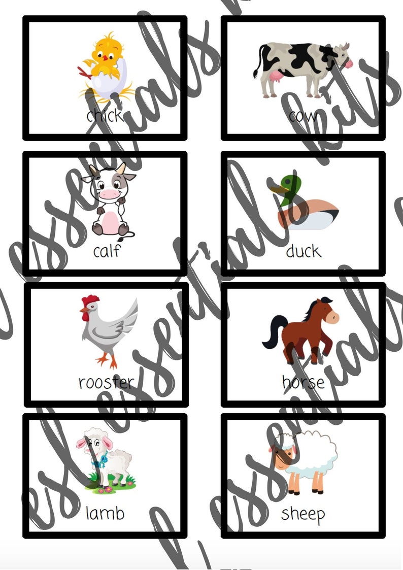 30 Farm Animals Flashcards Digital Download Printable, English/esl