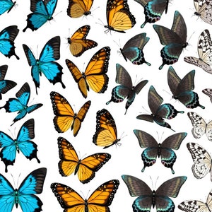 Magnolia Design Co; Butterflies in Flight Rub on Transfer 12x12