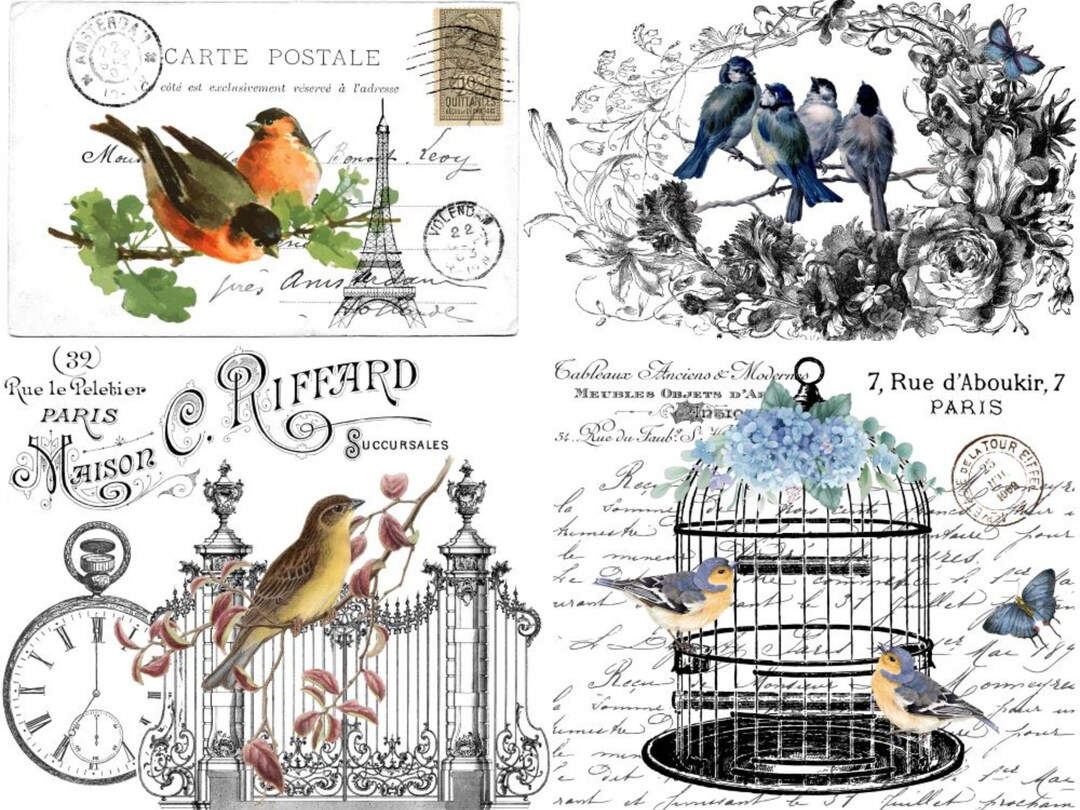 Magnolia Design Co. Birds of a Feather Rub on Transfer 8.5x11 Etsy