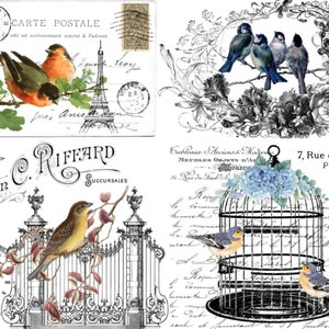 Magnolia Design Co. ; Transfert à frictionner Birds of a Feather 8,5 x 11