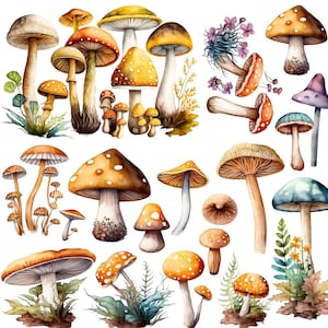 Magnolia Design Co; Woodland Mushrooms Rub on Transfer 12x12