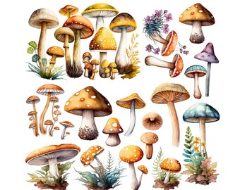 Magnolia Design Co; Woodland Mushrooms Rub on Transfer 12x12