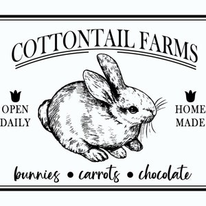 Magnolia Design Co.; Cottontail Farms-Reusable Adhesive 12X18 Silkscreen Stencil- ChalkTalkWithRenee