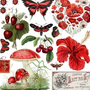 Magnolia Design Co; Ruby Reds Rub on Transfer 12x12