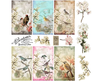 May include: A vintage-style collage featuring a clock face with Roman numerals, birds, and blooming cherry blossoms. The collage is in a distressed, faded style with a light blue background. The text "A Bontems" is visible at the bottom of the collage.
