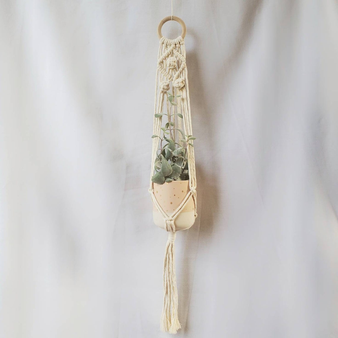 Wall Plant Hanger Etsy