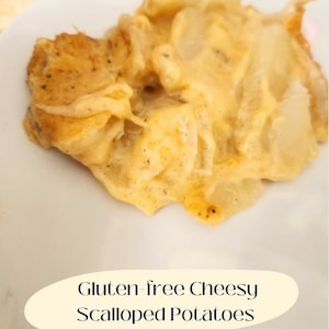 May include: A close-up of a white plate with a serving of cheesy scalloped potatoes. The potatoes are golden brown and have a creamy sauce on top. The text "Gluten-free Cheesy Scalloped Potatoes" is written on a beige oval shape.