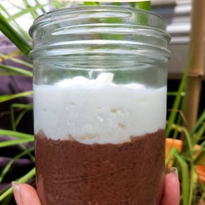 Vegan Chocolate Chia Pudding