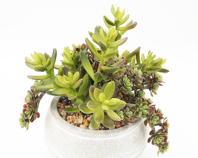 Beautiful faux succulent arrangement