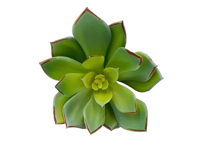 Faux Succulent Pick - Echeveria