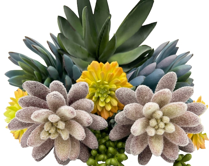 Faux Succulent Assortment of Picks - Echeveria - Set of 13 Picks (For a Medium Size Arrangement)