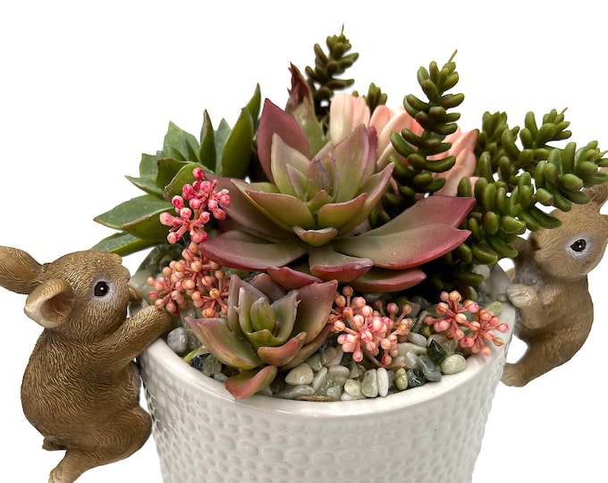 Beautiful faux succulent arrangement