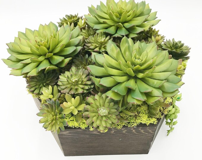 Beautiful faux succulent arrangement