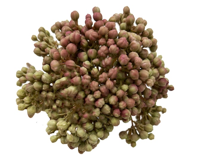 Faux Succulent Pick - Sedum