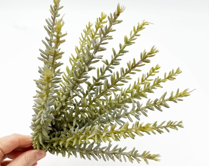 Faux Succulent Pick - Rosemary