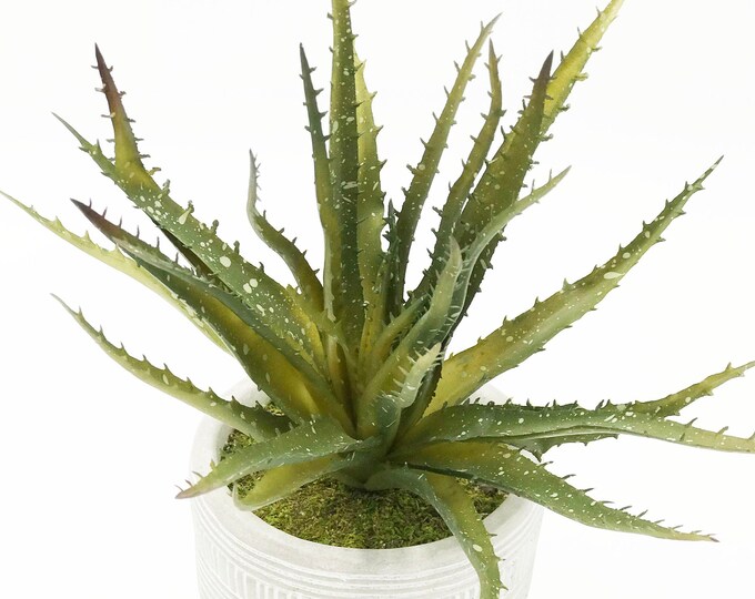 Beautiful Faux Aloe Arrangement - Aloe
