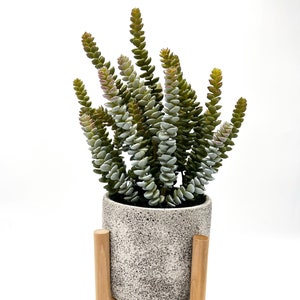 Wunderschönes künstliches Sukkulenten Arrangement