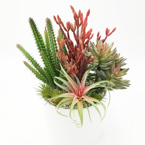Beautiful Faux Succulent Arrangement