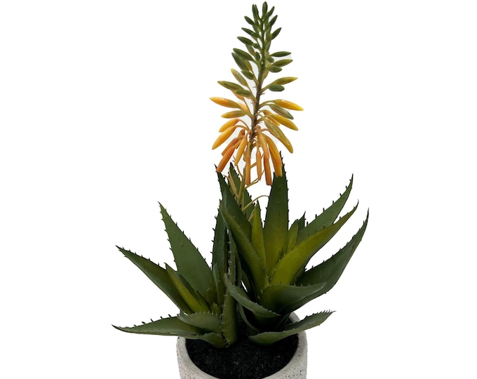 Beautiful faux succulent arrangement